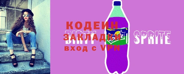spice Ельня