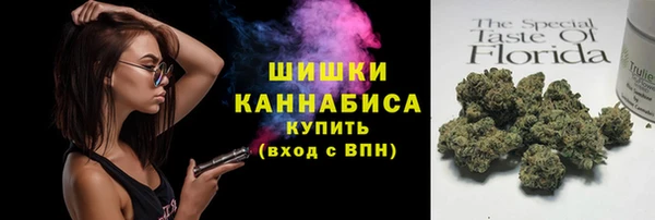 spice Ельня