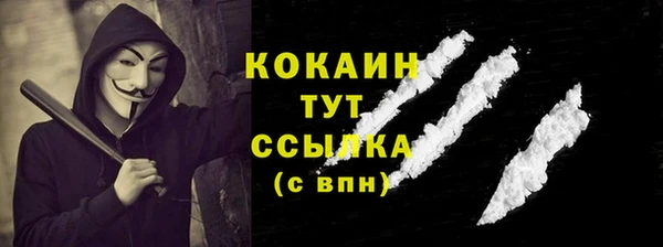 ГАЛЛЮЦИНОГЕННЫЕ ГРИБЫ Елабуга