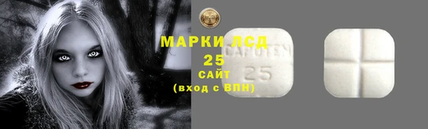 spice Ельня