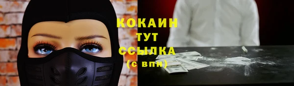 прущие крисы Елизово