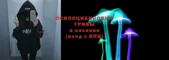стаф Заволжье