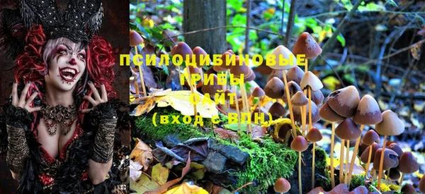 прущие крисы Елизово