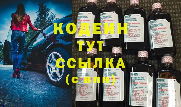 spice Ельня