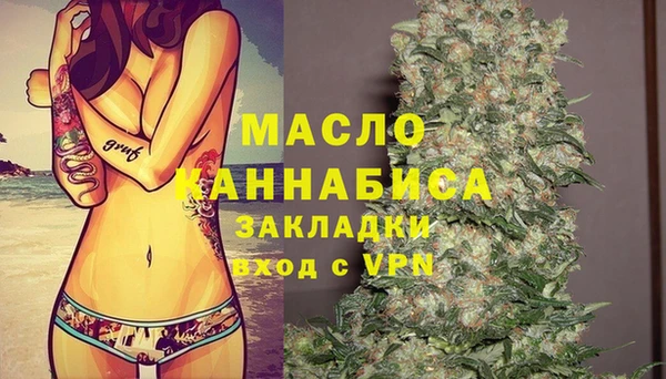 spice Ельня