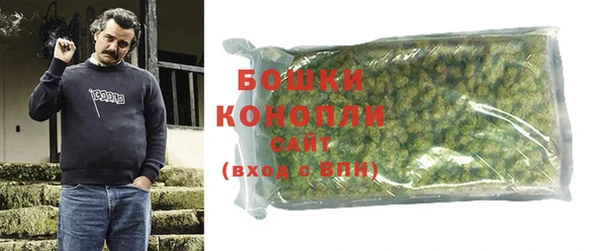 ГАЛЛЮЦИНОГЕННЫЕ ГРИБЫ Елабуга