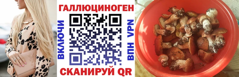 Купить где  Ипатово  Псилоцибиновые грибы MAGIC MUSHROOMS 